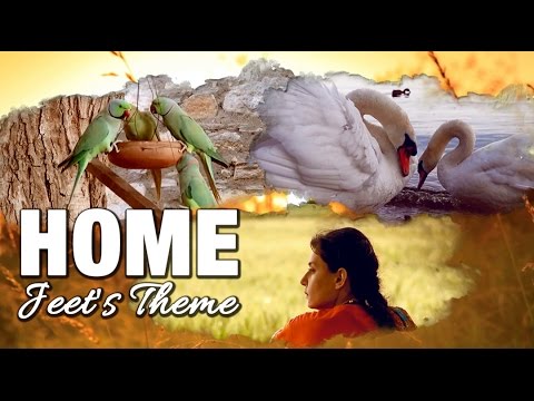 Home - Jeet's Theme - Official Video | Surkhaab - The Film [HD]