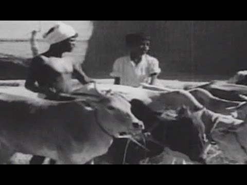 Shavukaru Songs - Maaripovuraa Kaalam - NTR - Shavukaru Janaki