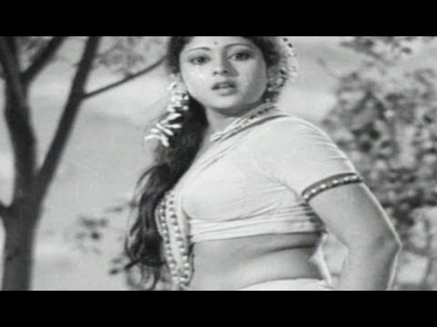 Kotalo Paga Songs - Guvva Gudekke - Jayasudha - Ramakrishna