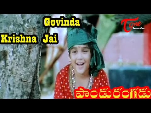 Pandurangadu - Govinda Krishna Jai - Viswanath - Telugu Song